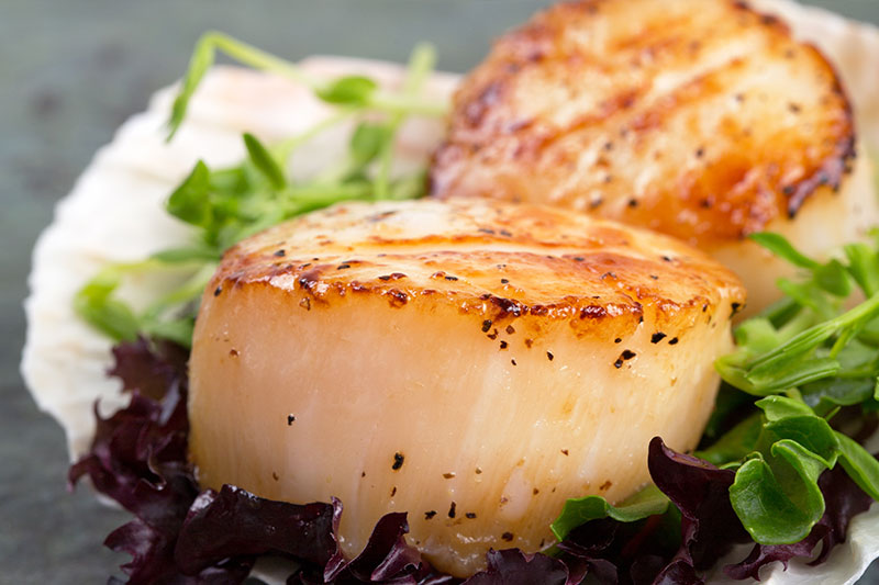 Sauteed Scallops